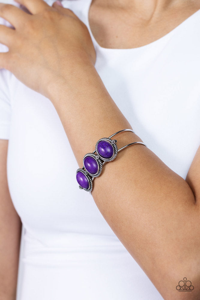 Paparazzi Bracelets - Badlands Backdrop - Purple - Fashion Fix Exclusive