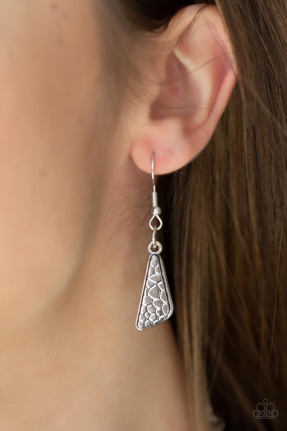 Paparazzi Necklaces - Extra Expedition - Silver