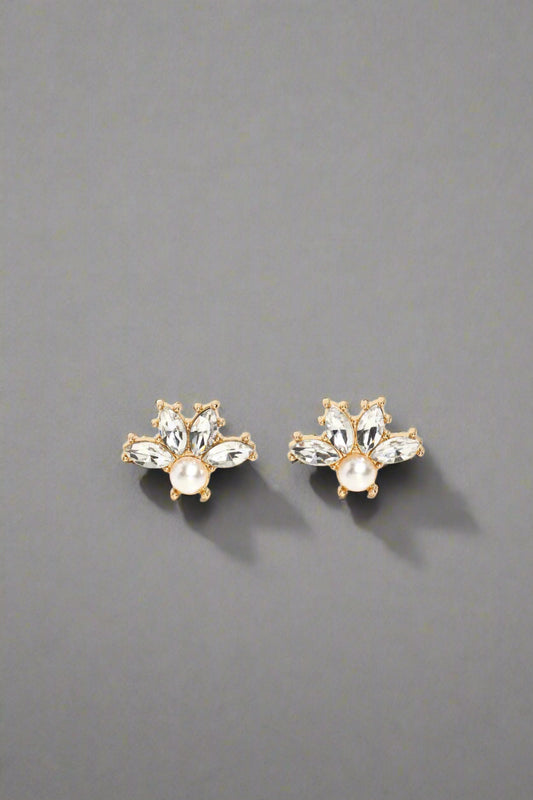 Stellar Showcase - Gold