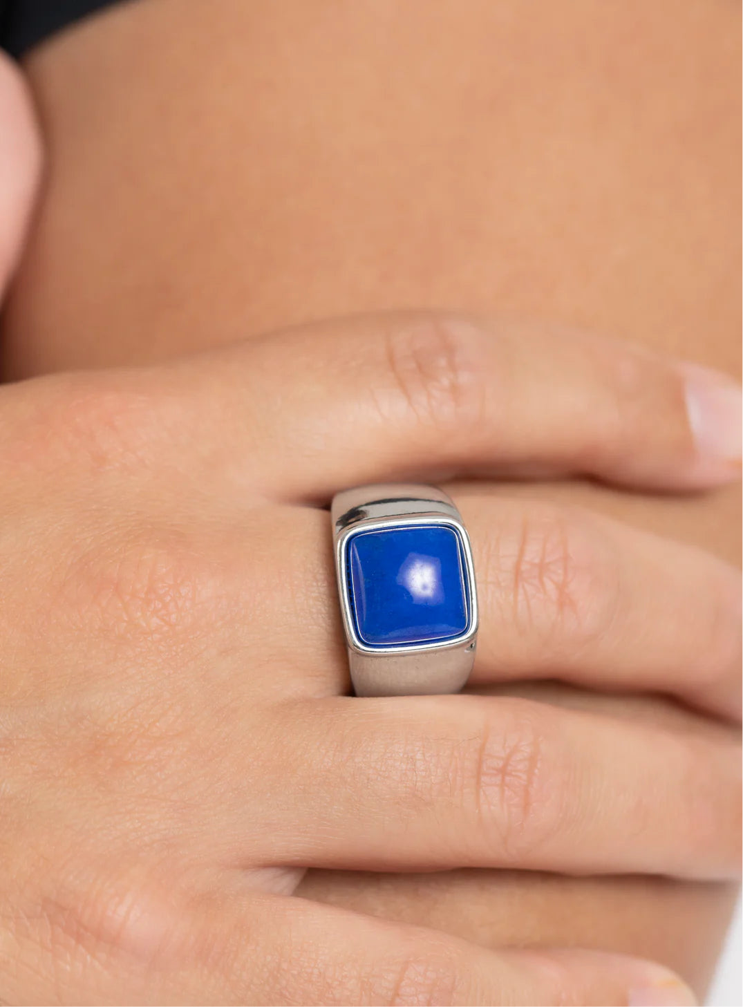 Paparazzi Men's Collection - Earthy Envy - Blue