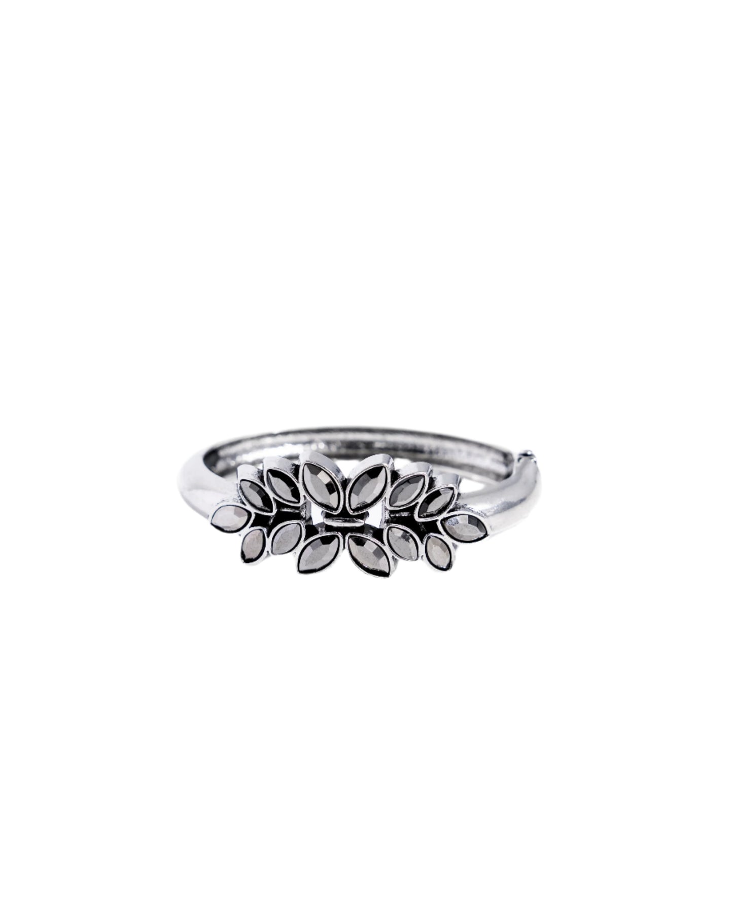 Glamorously Garnished - Sil er - Hinge