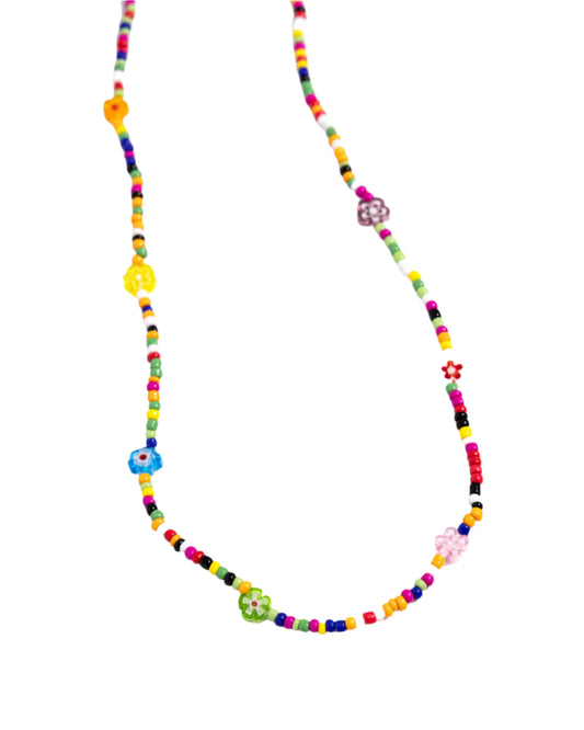 Candyland Craze - Multi